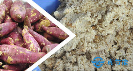 紅薯及其加工產物紅薯渣